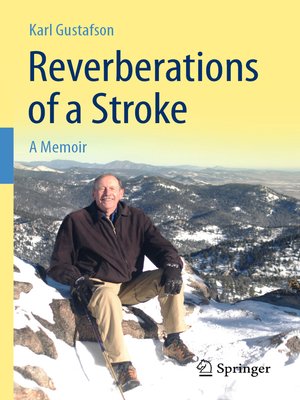 cover image of Reverberations of a Stroke